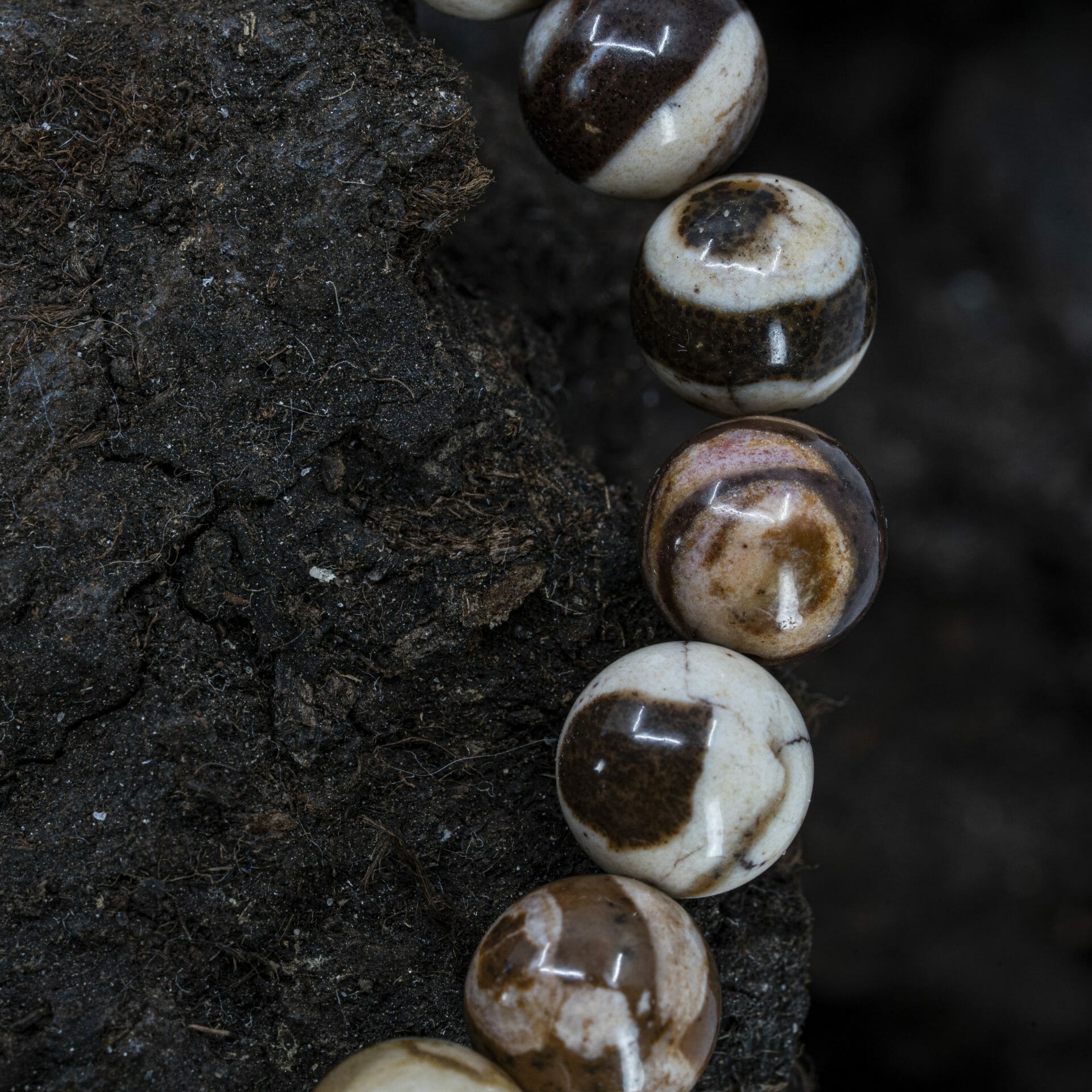 Australische Zebra steen Jasper – Kralen armband