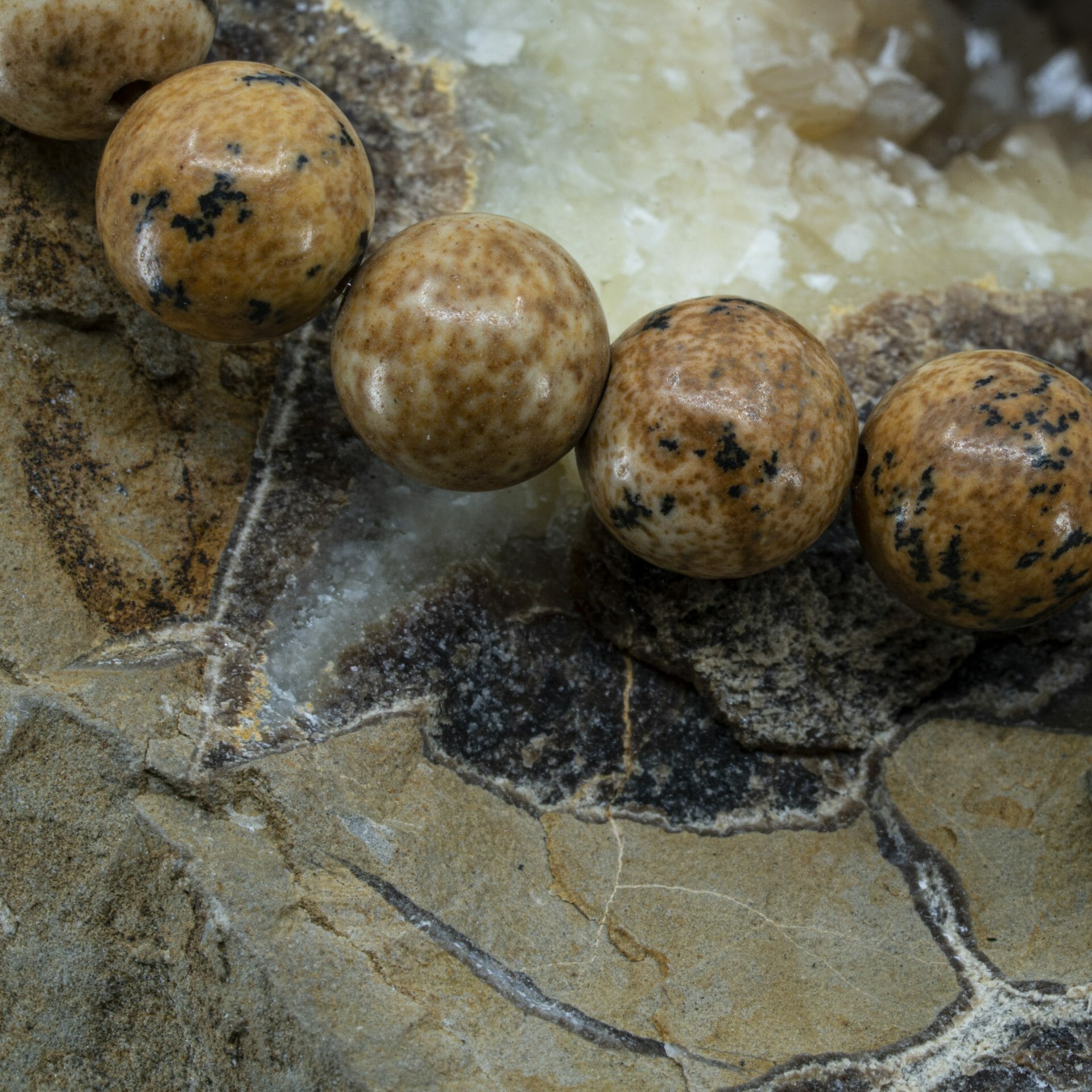 Beige Picture Jasper | 8mm Kralen Armband