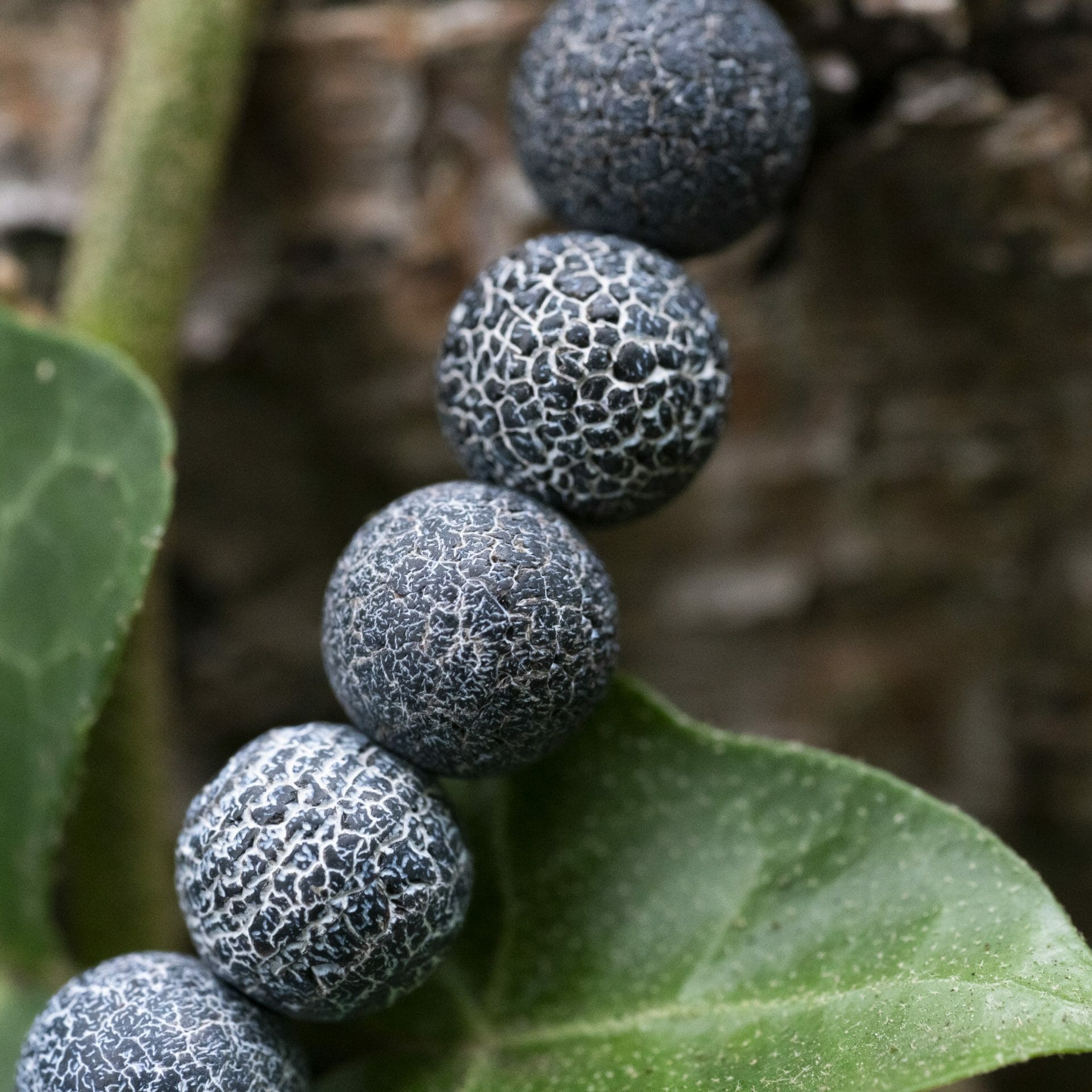 Verweerde blauwe Agaat - Kralen Armband