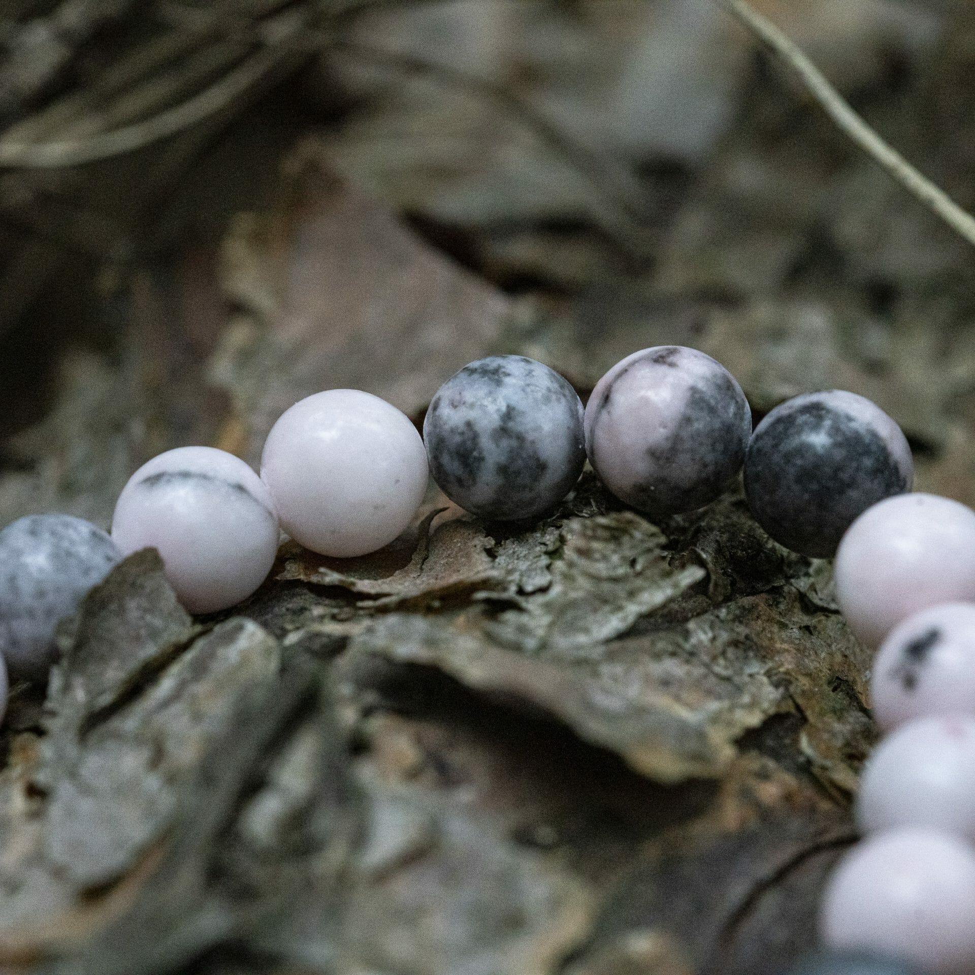 Witte / Roze Zebra Kralen armband - Subtiele Elegantie