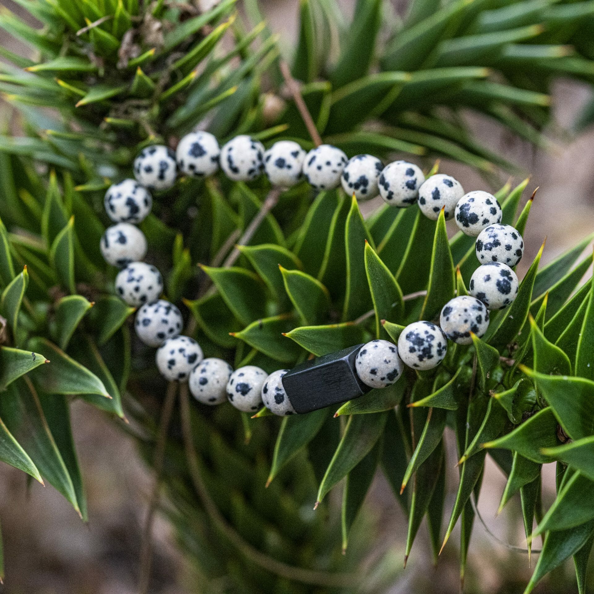 Boeren Armband 🐄 Koeienvlekken + Naam gegraveerd