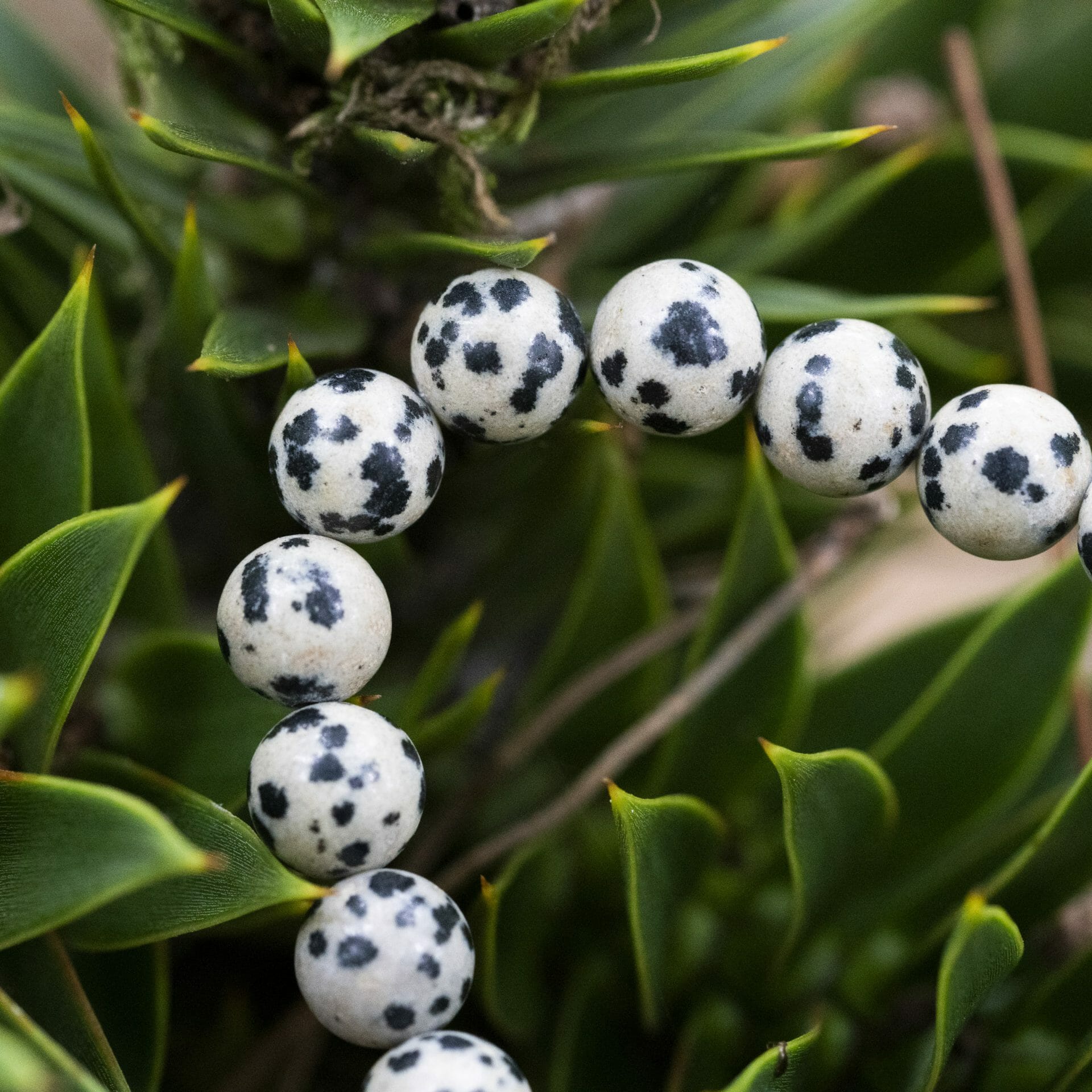 Boeren Armband 🐄 Koeienvlekken + Naam gegraveerd