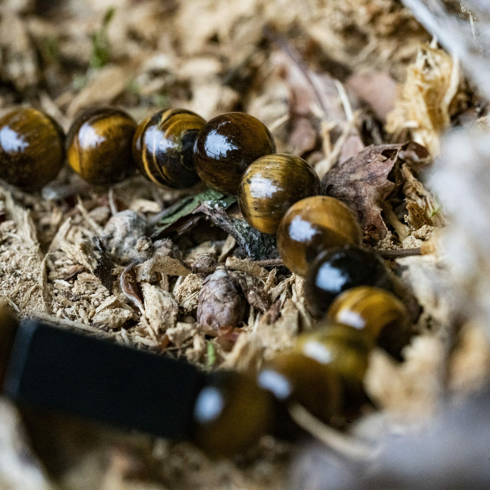 Naam gravure Tijger ogen / Tiger Eye - 8mm Kralen Armband
