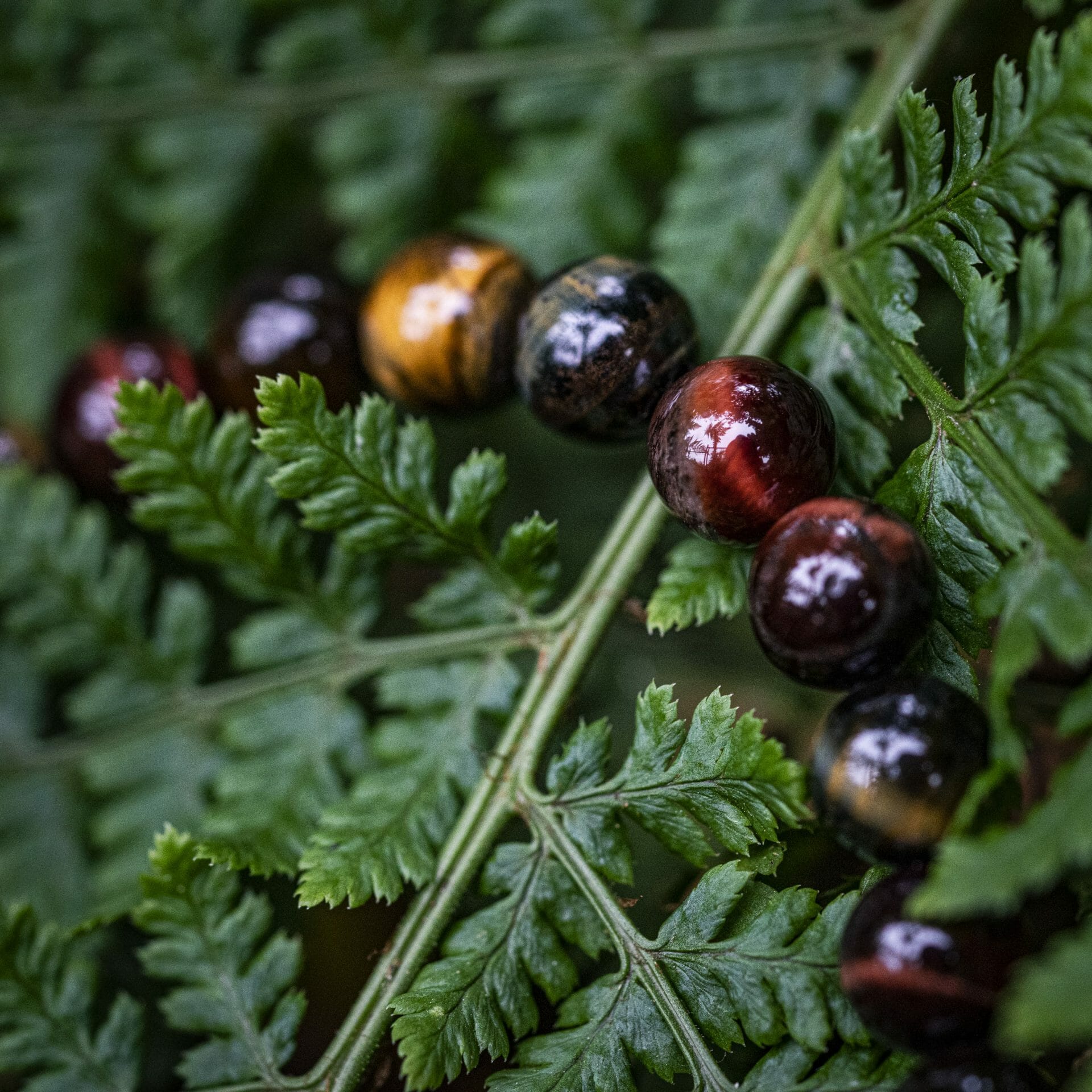 Trio Tijger Eye: Gele Tijgeroog, Valkenoog (blauw) en Stierenoog (rood) Kralen Armband