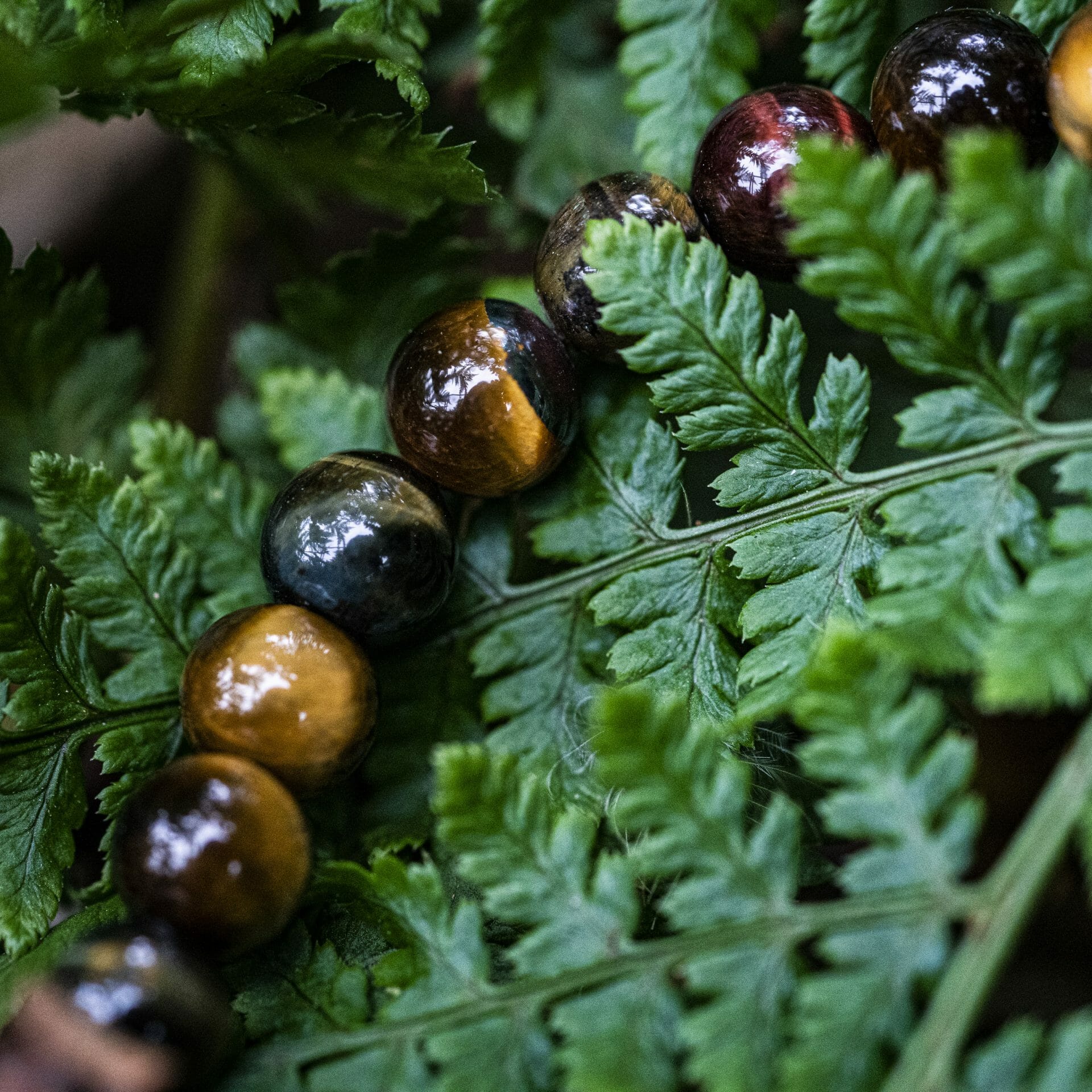 Trio Tijger Eye: Gele Tijgeroog, Valkenoog (blauw) en Stierenoog (rood) Kralen Armband