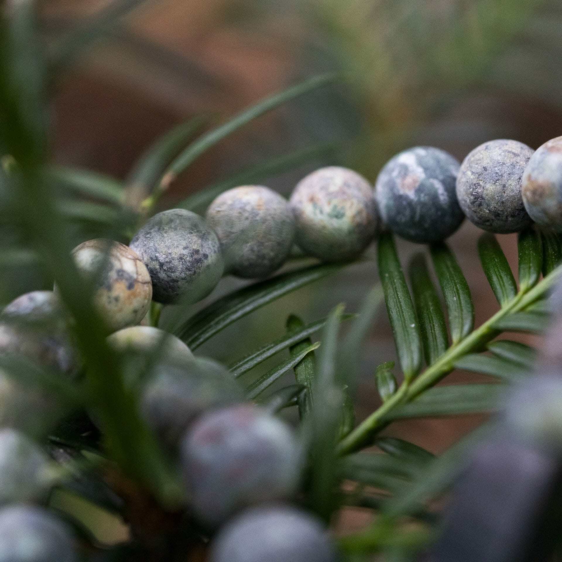 Afrikaanse Matte Turquoise Kralen Armband – 10mm Stenen