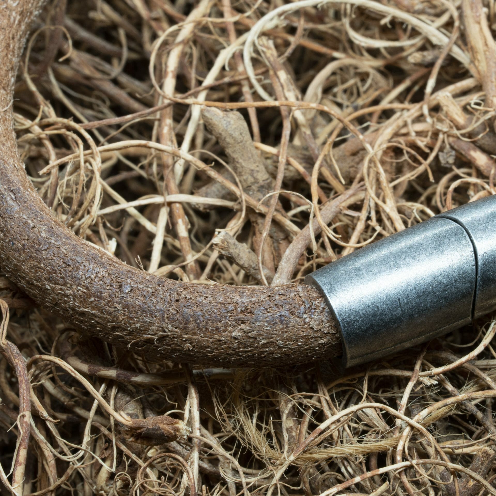 Licht ronde leren Armband – Norway Vikingsarmband