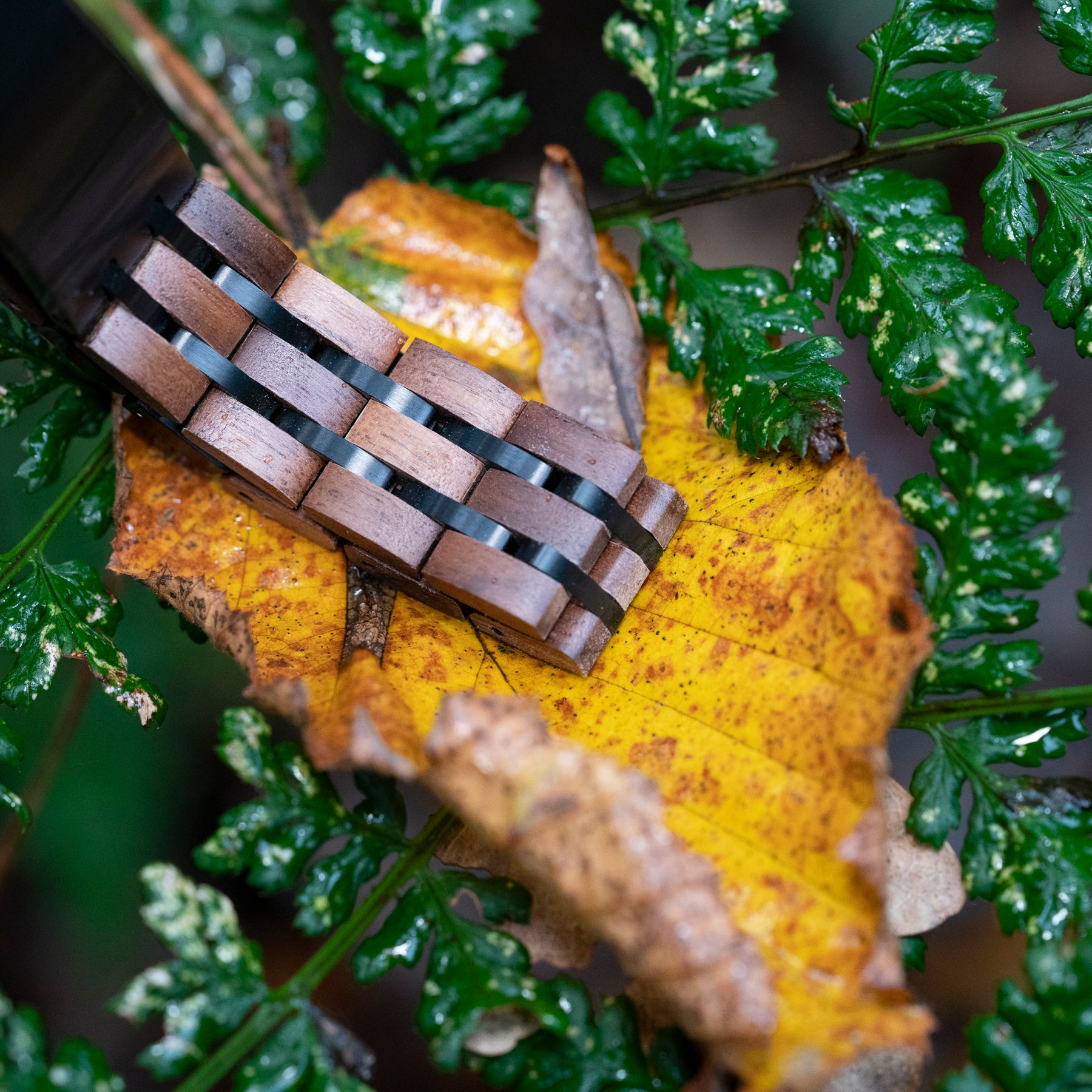 Dark Love (TimberWood) – Walnoten houten armband